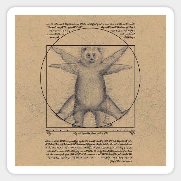 The Vitruvian bear Sticker by Zolinstudio